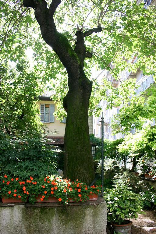 B&B Milano Bella Экстерьер фото